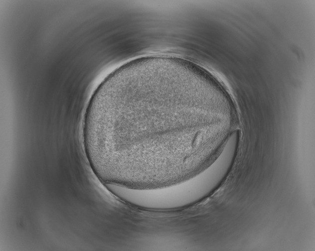 X0000111601344200908131354