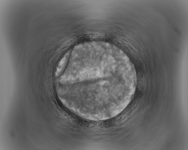 X0000111601345200908131354
