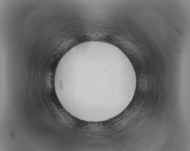 X0000111601346200908131354