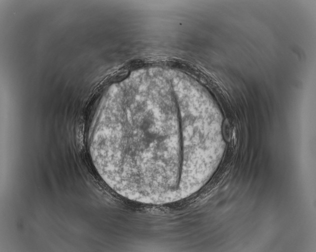 X0000111601348200908131354