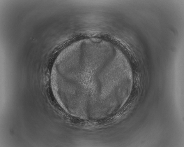 X0000111601349200908131354