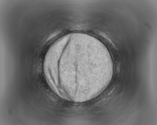 X0000111601350200908131354