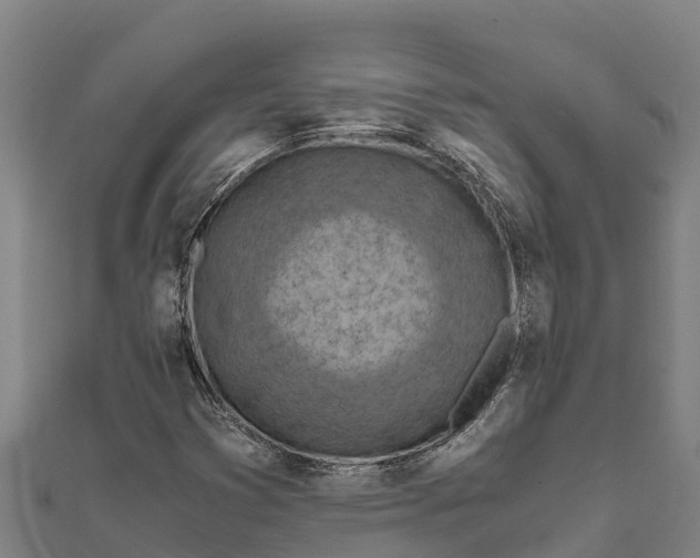 X0000111601353200908131354