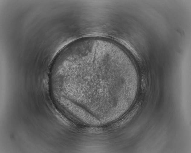 X0000111601356200908131354