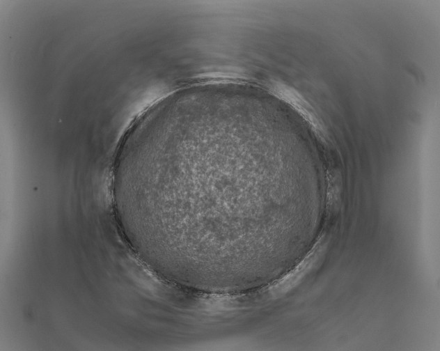 X0000111601357200908131354
