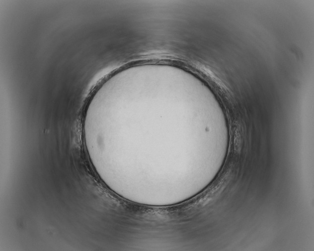 X0000111601358200908131354