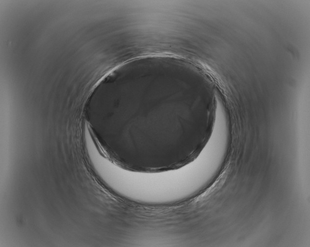 X0000111601361200908131354