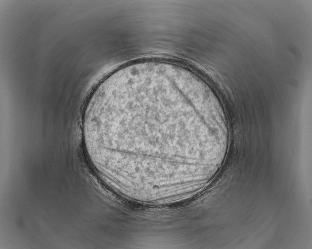 X0000111601363200908131354