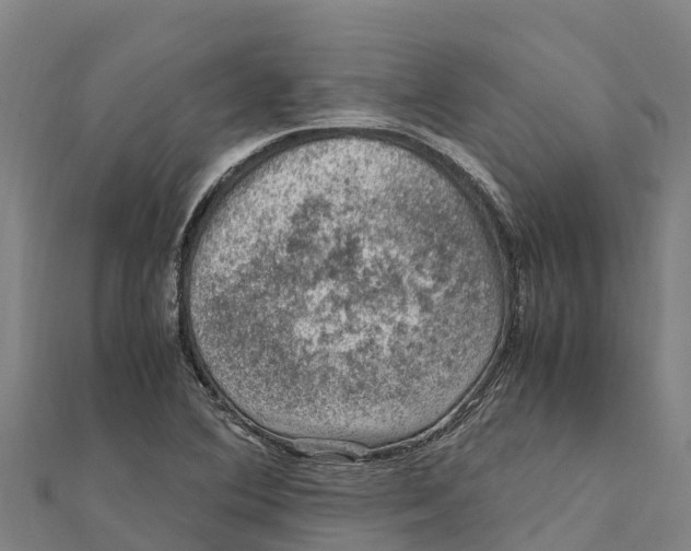 X0000111601364200908131354