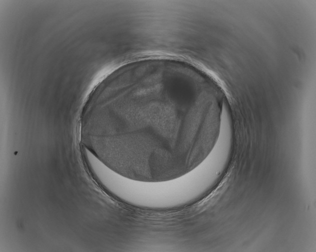 X0000111601365200908131354