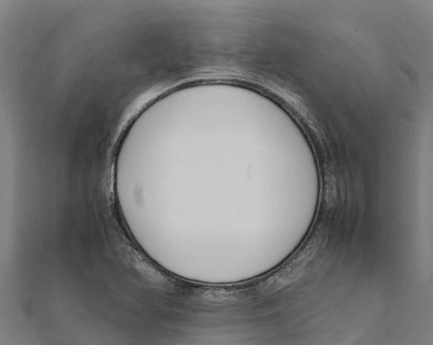 X0000111601366200908131354
