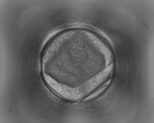 X0000111601368200908131354