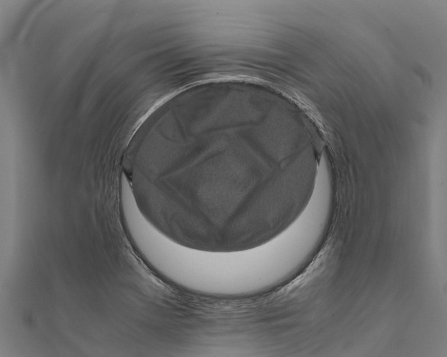 X0000111601369200908131354