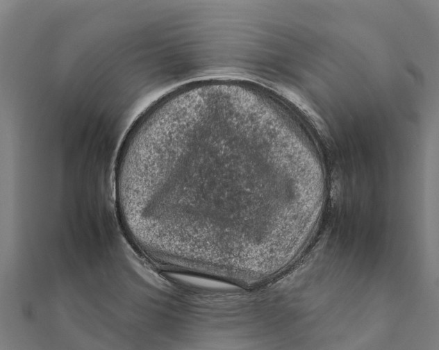 X0000111601372200908131354