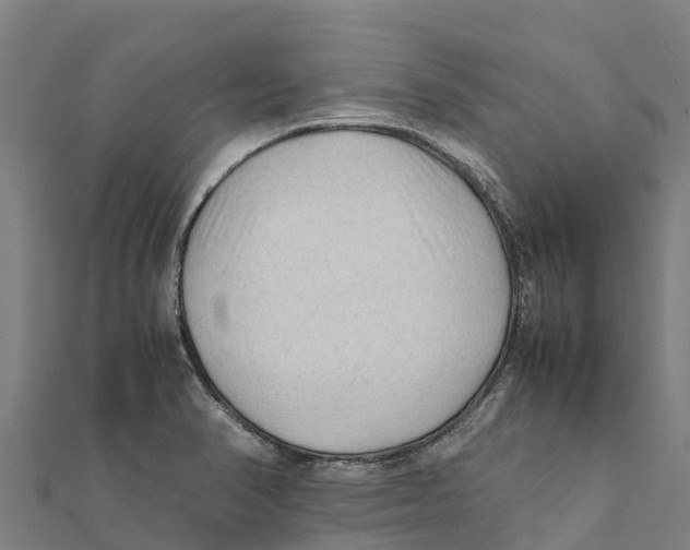 X0000111601374200908131353