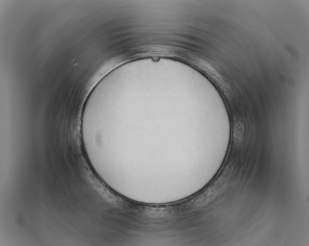 X0000111601378200908131353