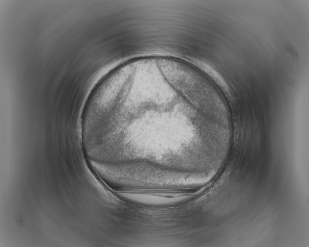 X0000111601380200908131353