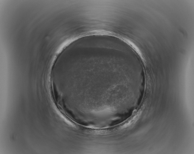 X0000111601381200908131353