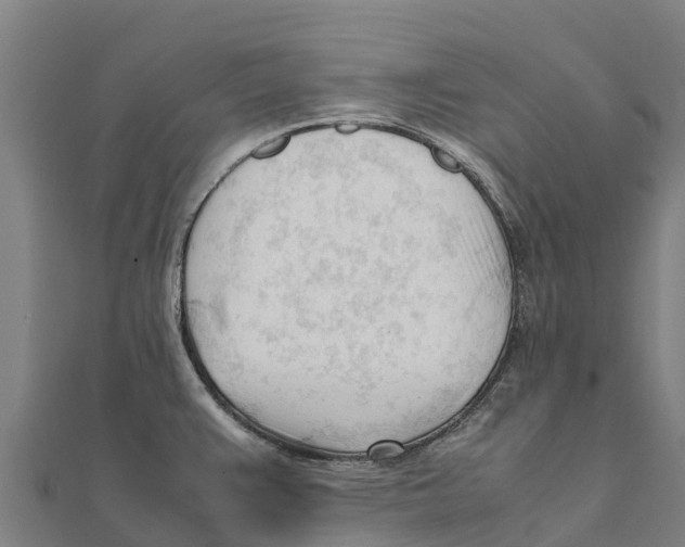 X0000111601383200908131353