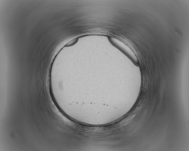 X0000111601387200908131353