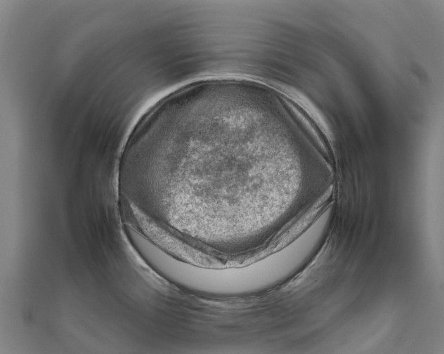 X0000111601388200908131353
