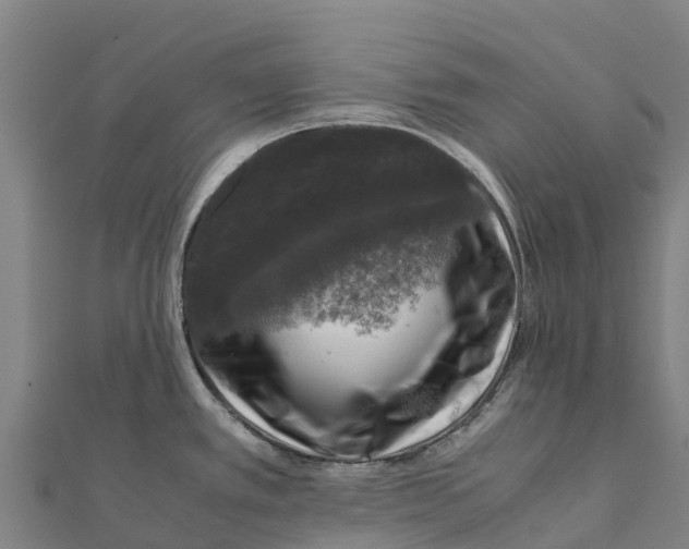 X0000111601389200908131353