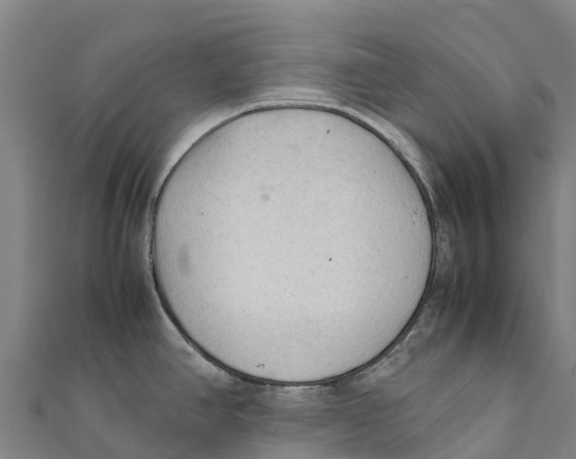 X0000111601390200908131353