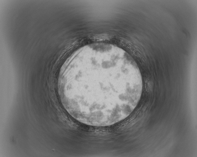 X0000111601393200908131353