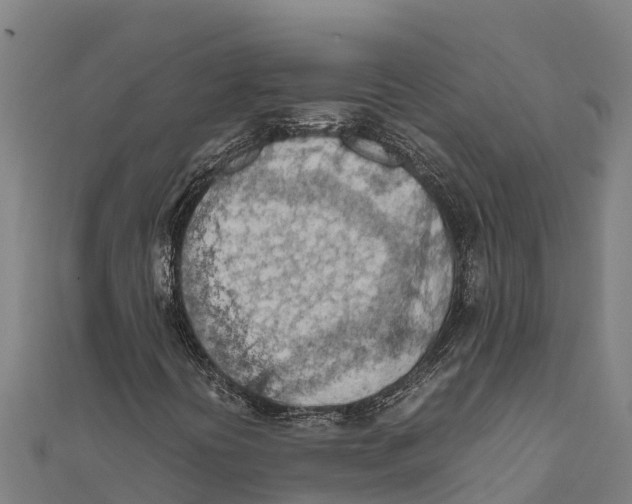 X0000111601394200908131353
