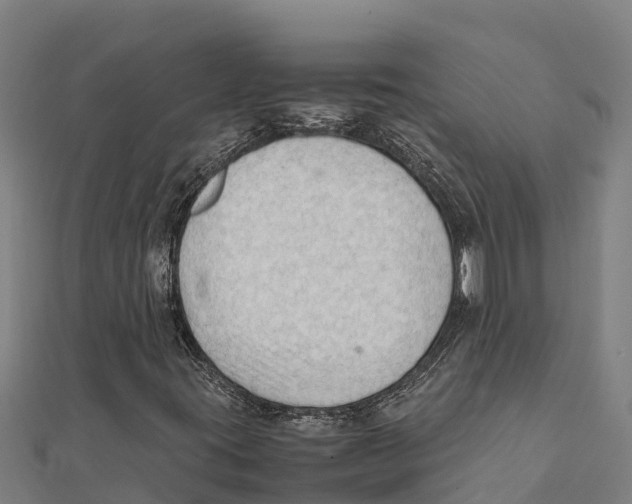 X0000111601395200908131353