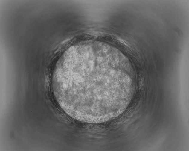 X0000111601397200908131353