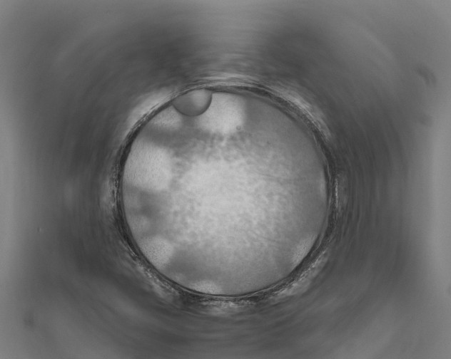 X0000111601405200908131353