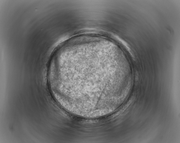 X0000111601411200908131353