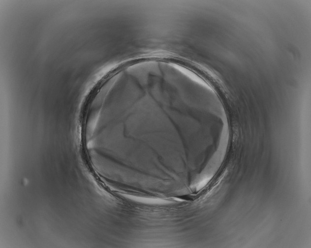 X0000111601414200908131353