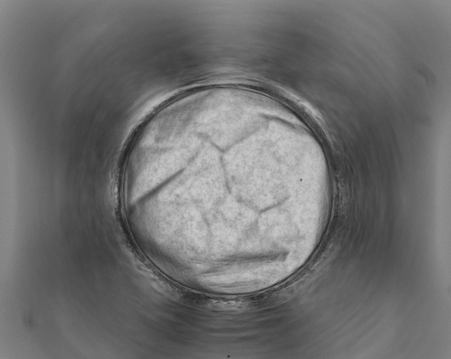 X0000111601415200908131353