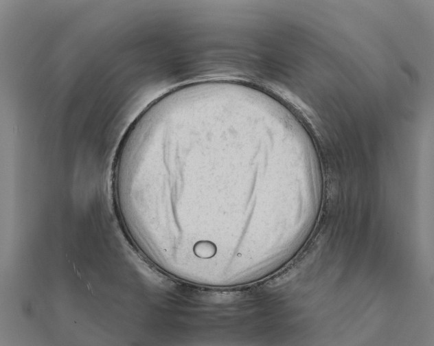 X0000111601423200908131353