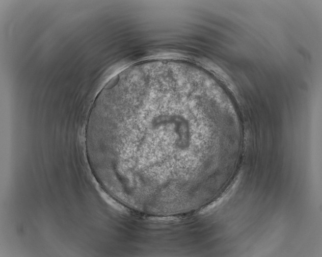 X0000111601425200908131353