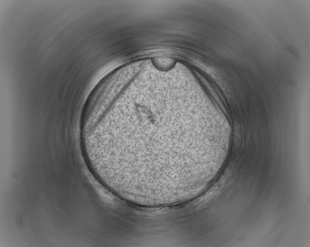 X0000111601426200908131353
