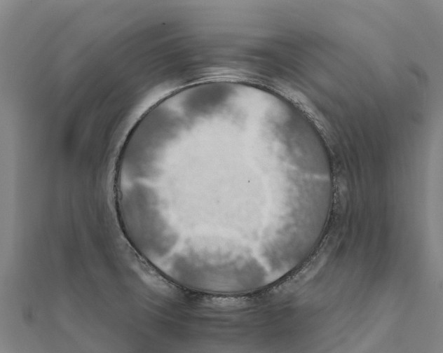 X0000111601427200908131353