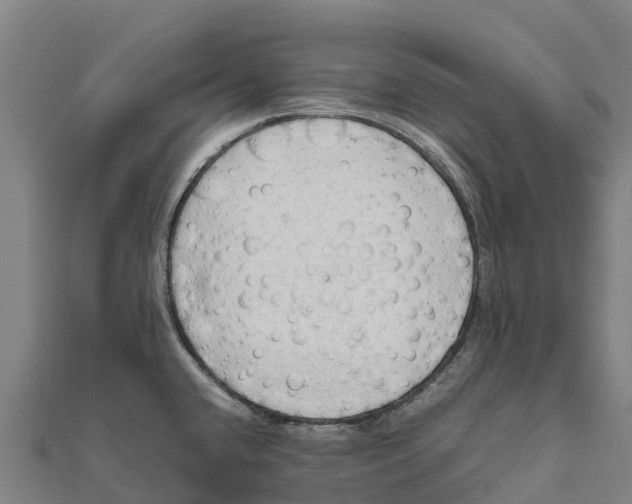 X0000111601432200908131353