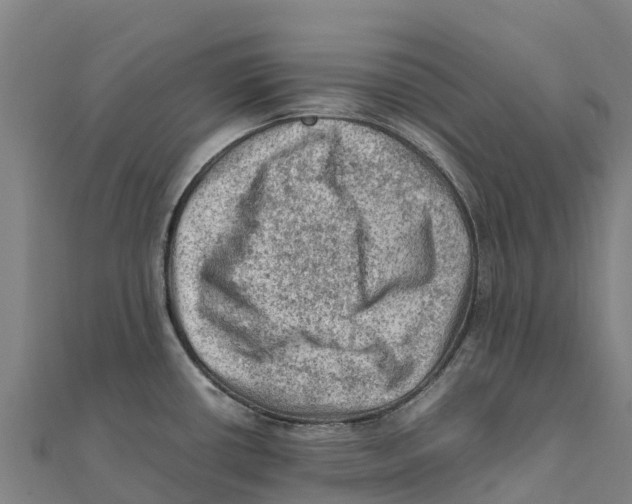 X0000111601434200908131353