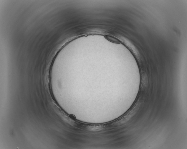 X0000111601435200908131353