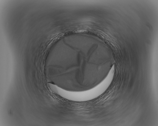 X0000111601441200908131353