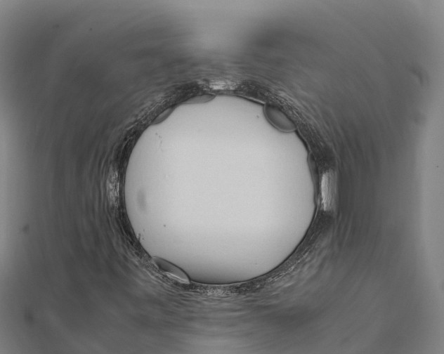 X0000111601443200908131353