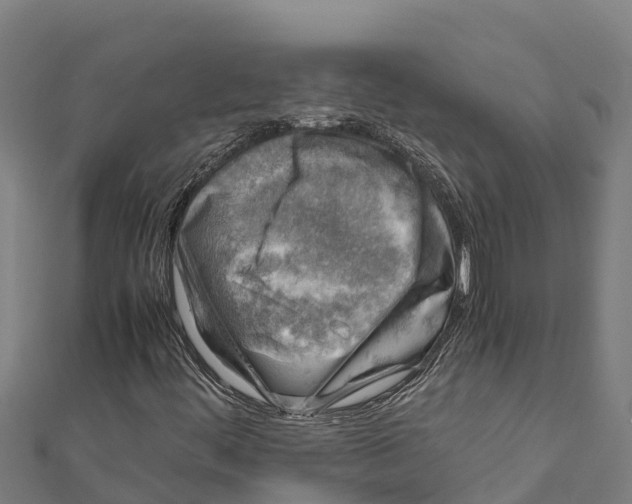 X0000111601444200908131353
