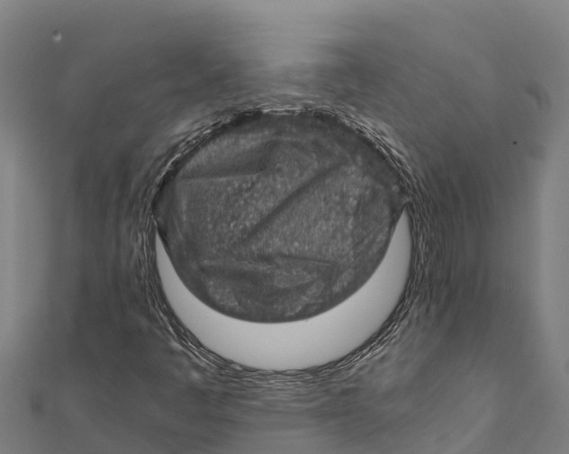 X0000111601445200908131353