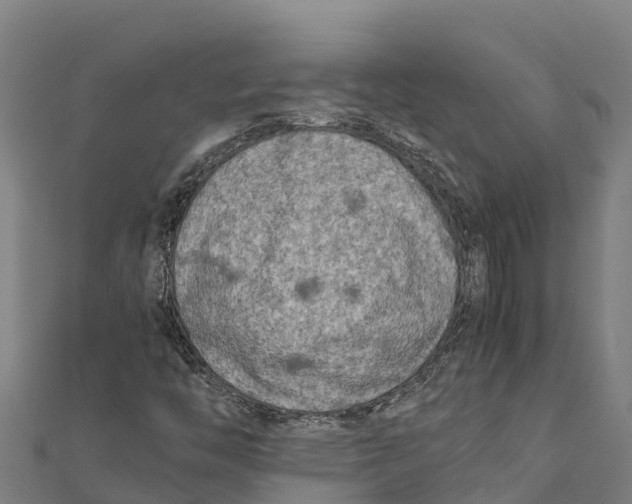 X0000111601446200908131353