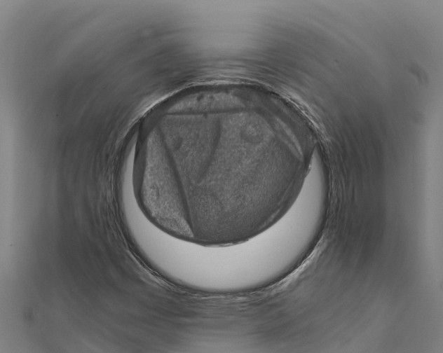 X0000111601449200908131353