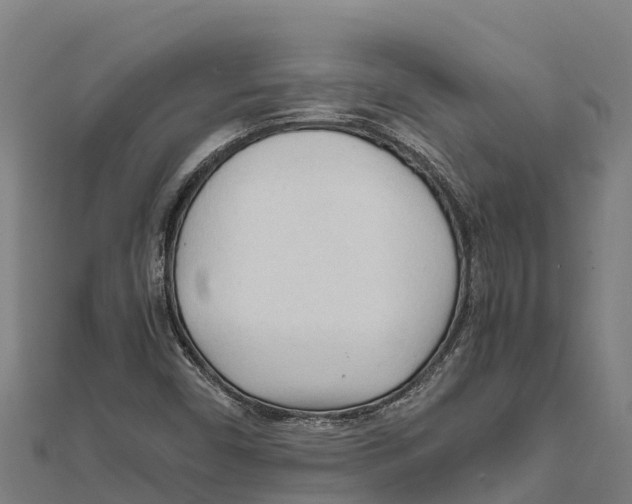 X0000111601450200908131353