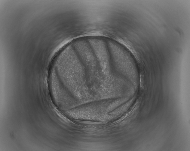 X0000111601452200908131352